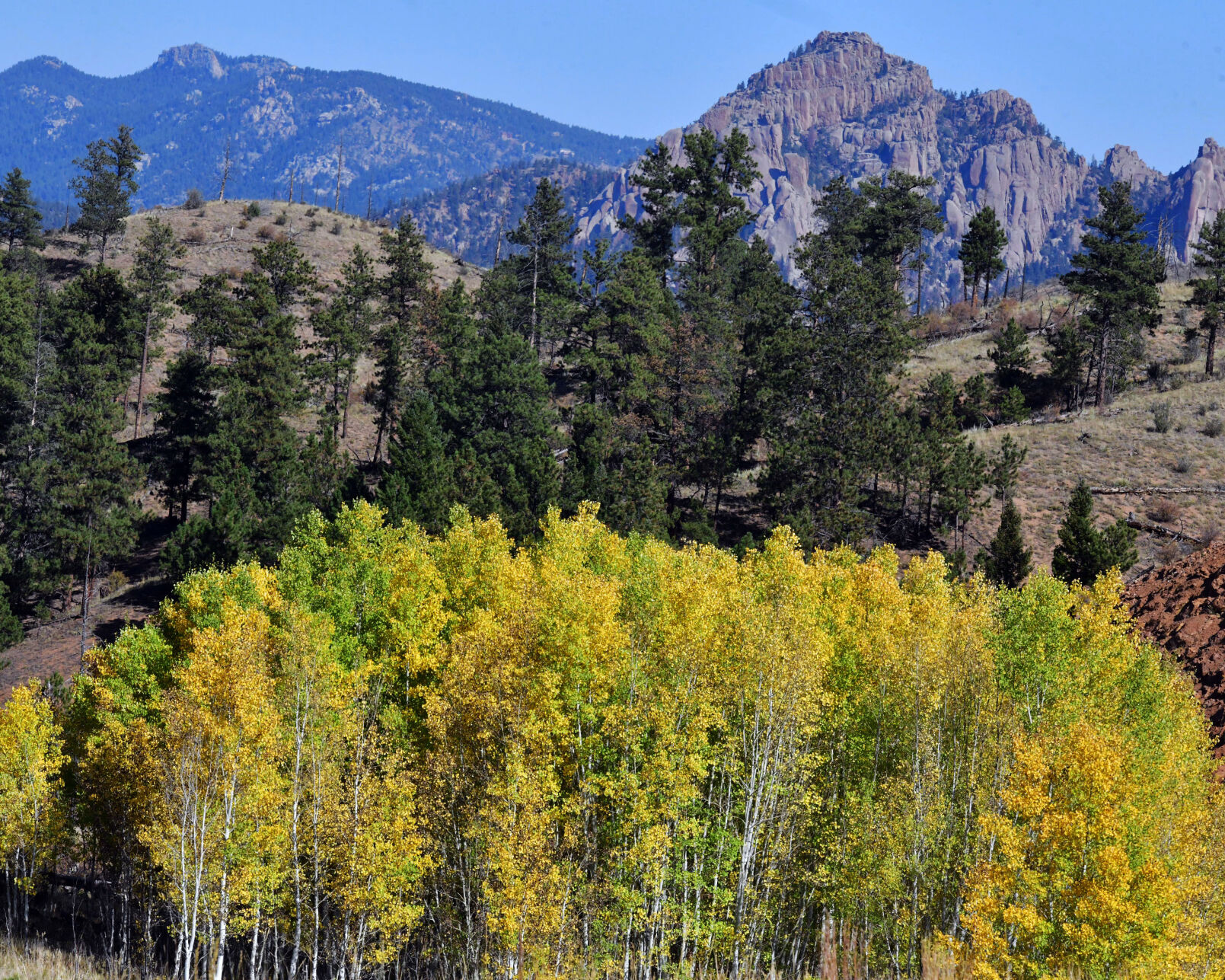 100420-news-aspens 04.JPG